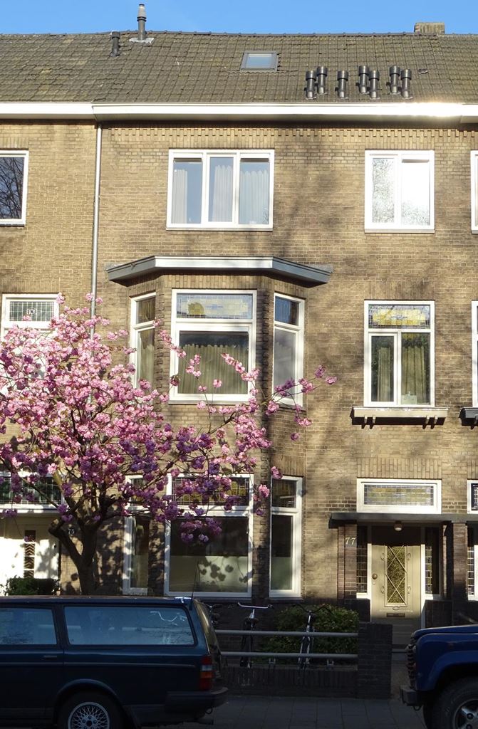 Koning Clovisstraat, Maastricht