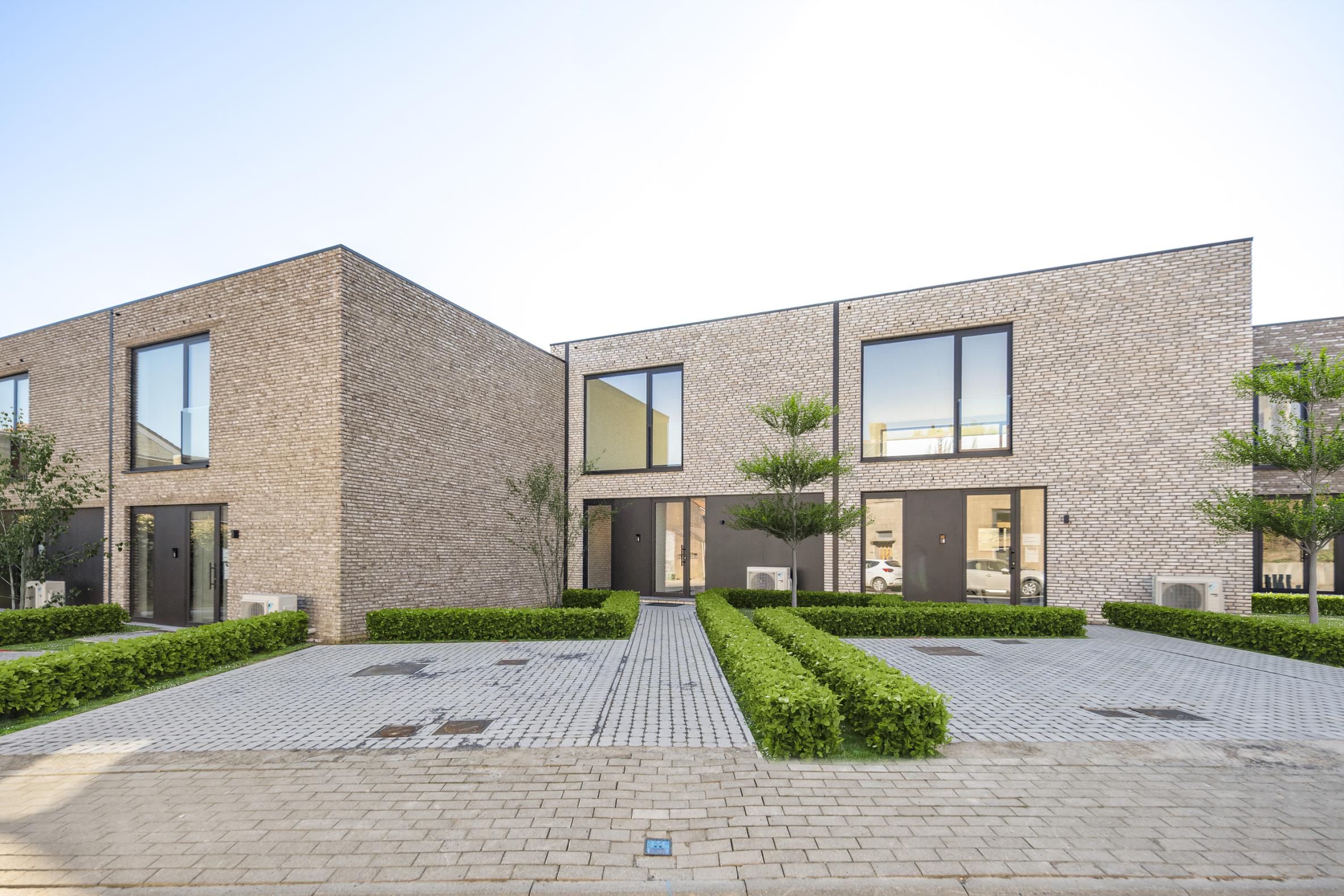 Pastoor Counestraat (B)