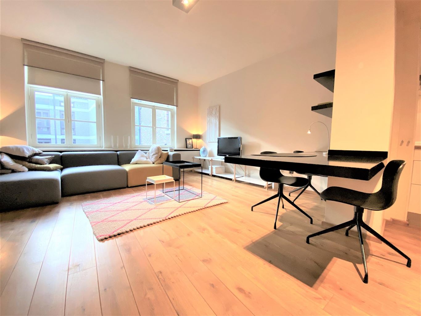 Bekijk foto 1/19 van apartment in Maastricht