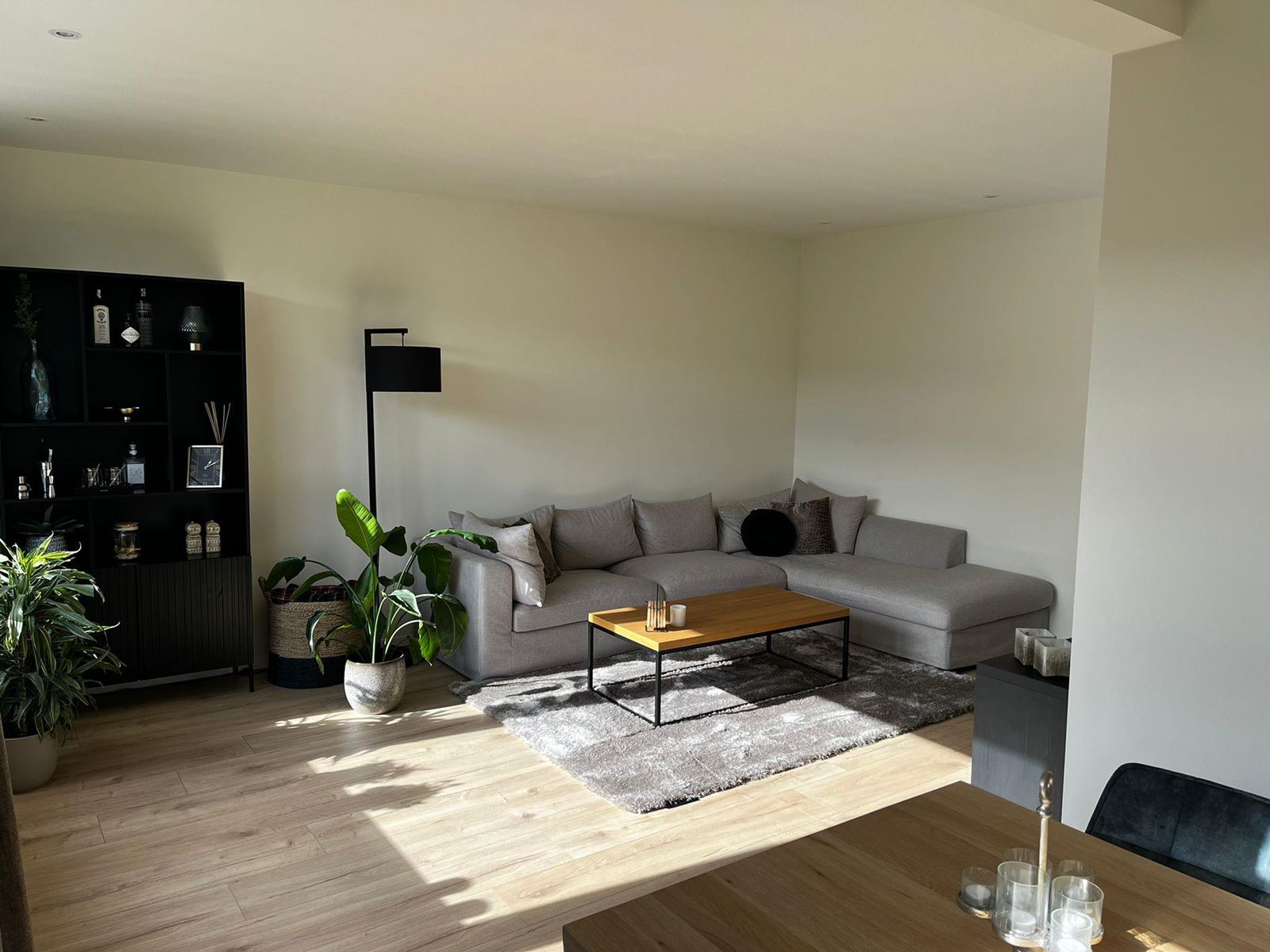 homes for rent on Adelbert van Scharnlaan